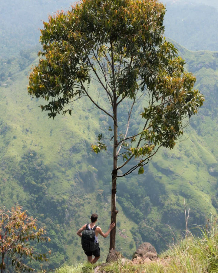 Backpacker standing near a tree at Ella Rock, looking over the green mountain landscape in Sri Lanka