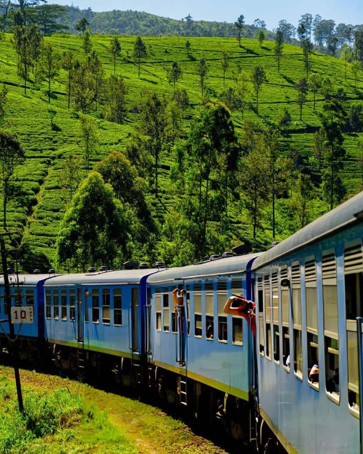 Blue train passing through emerald tea plantations near Nuwara Eliya