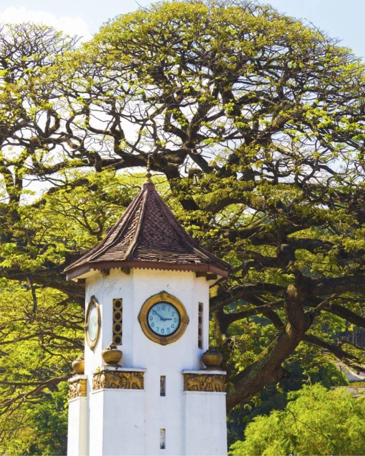 Kandy Clock Tower surrounded by trees in the city center of Kandy