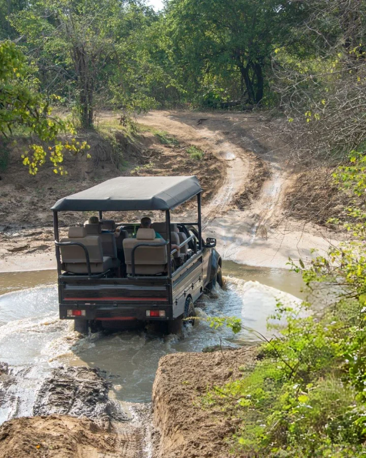 Safari jeep crossing a stream during a wildlife safari in Udawalawe