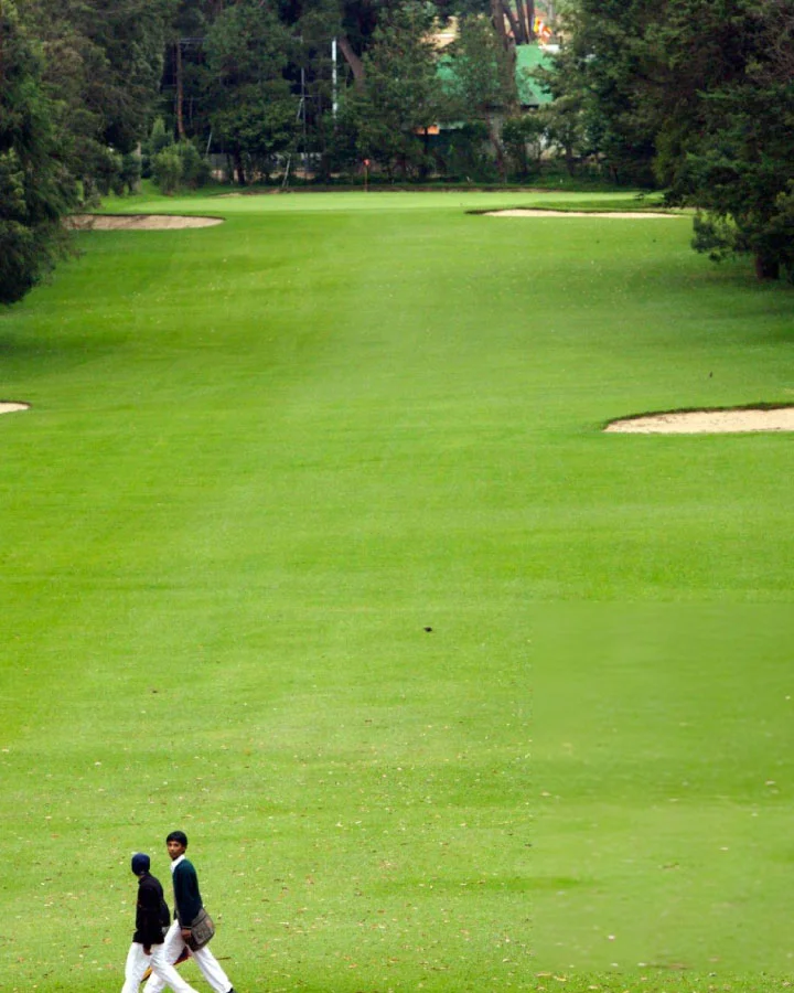Well-manicured golf course surrounded by pine trees in Nuwara Eliya
